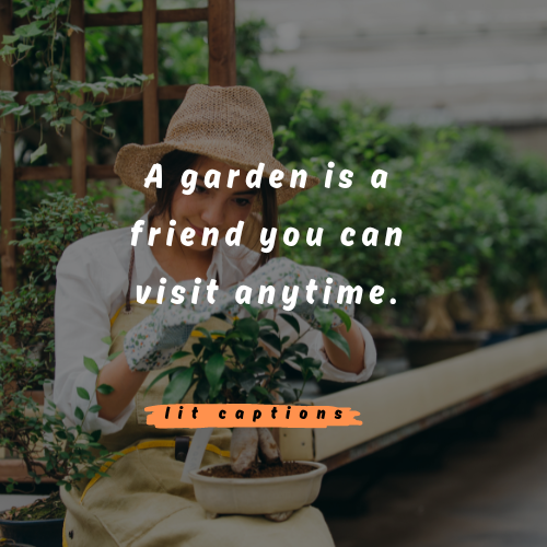 Garden Captions