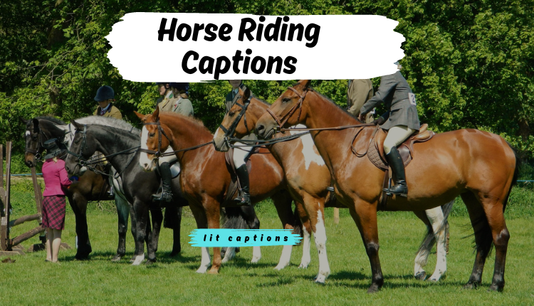 300+Horse Riding Captions