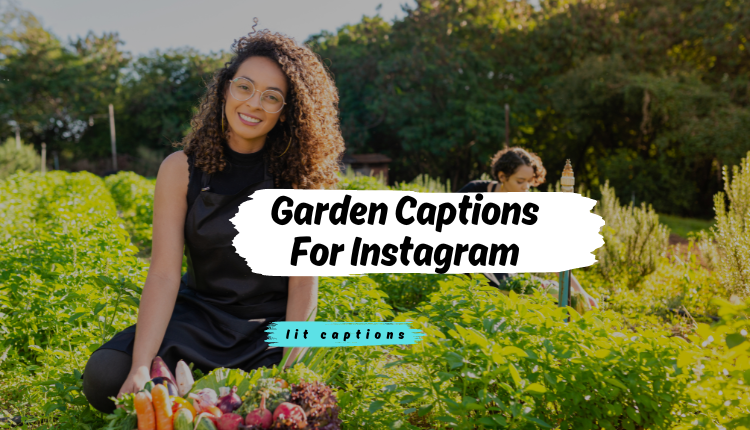 200+ Garden Captions For Instagram and Quotes