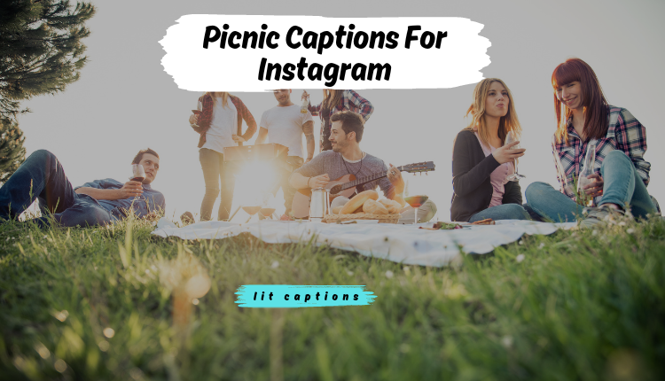 180+Picnic Captions For Instagram