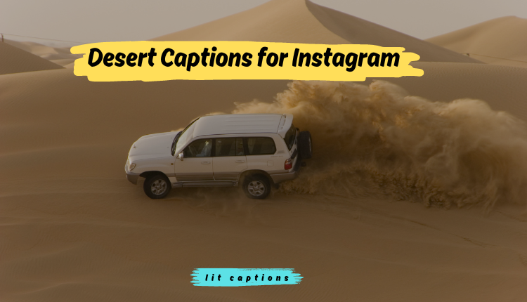 180+Desert Captions for Instagram