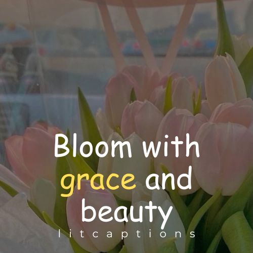 Flower Quotes for Instagram